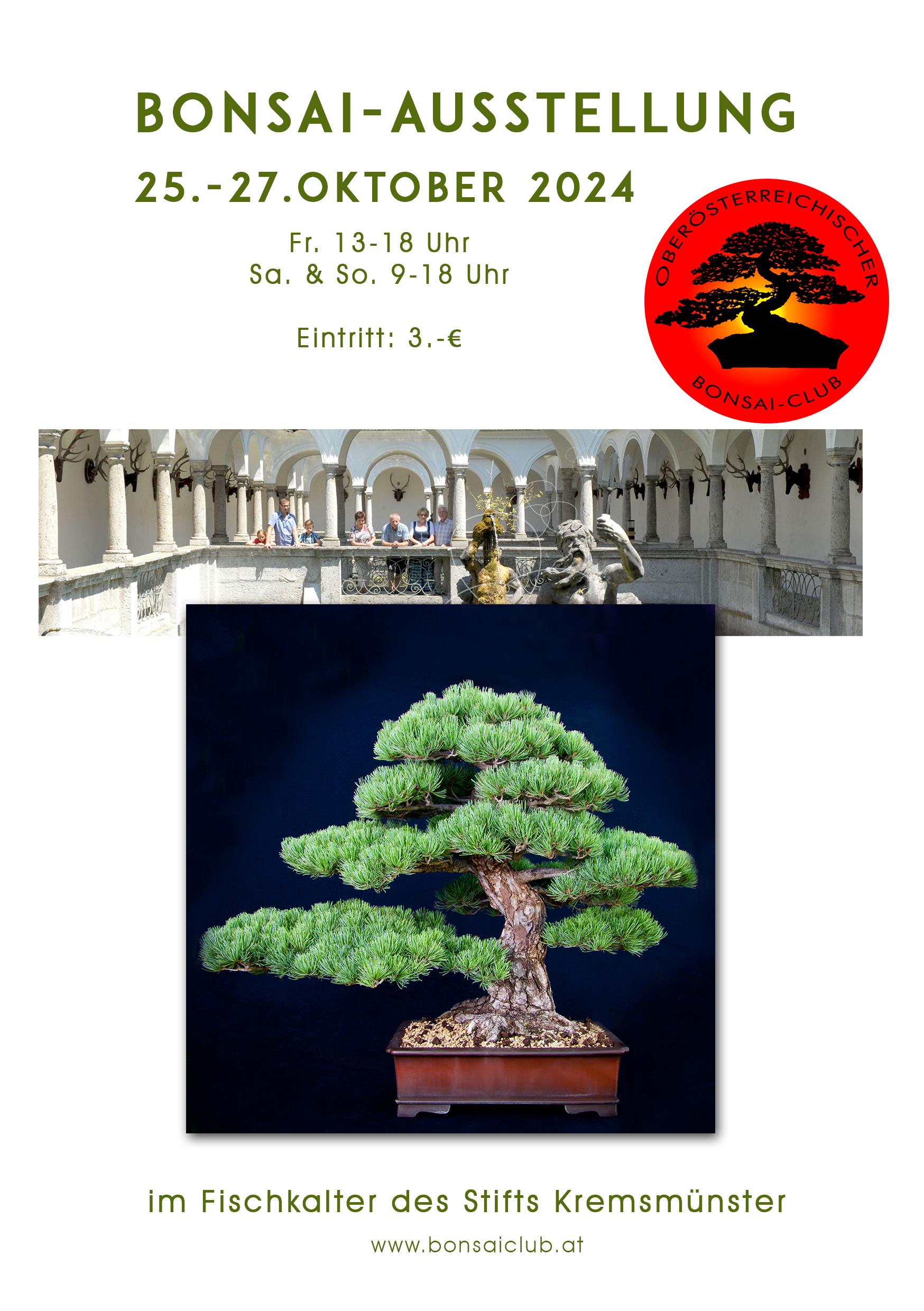 ficus bonsai tree Ficus Microcarpa Bonsai