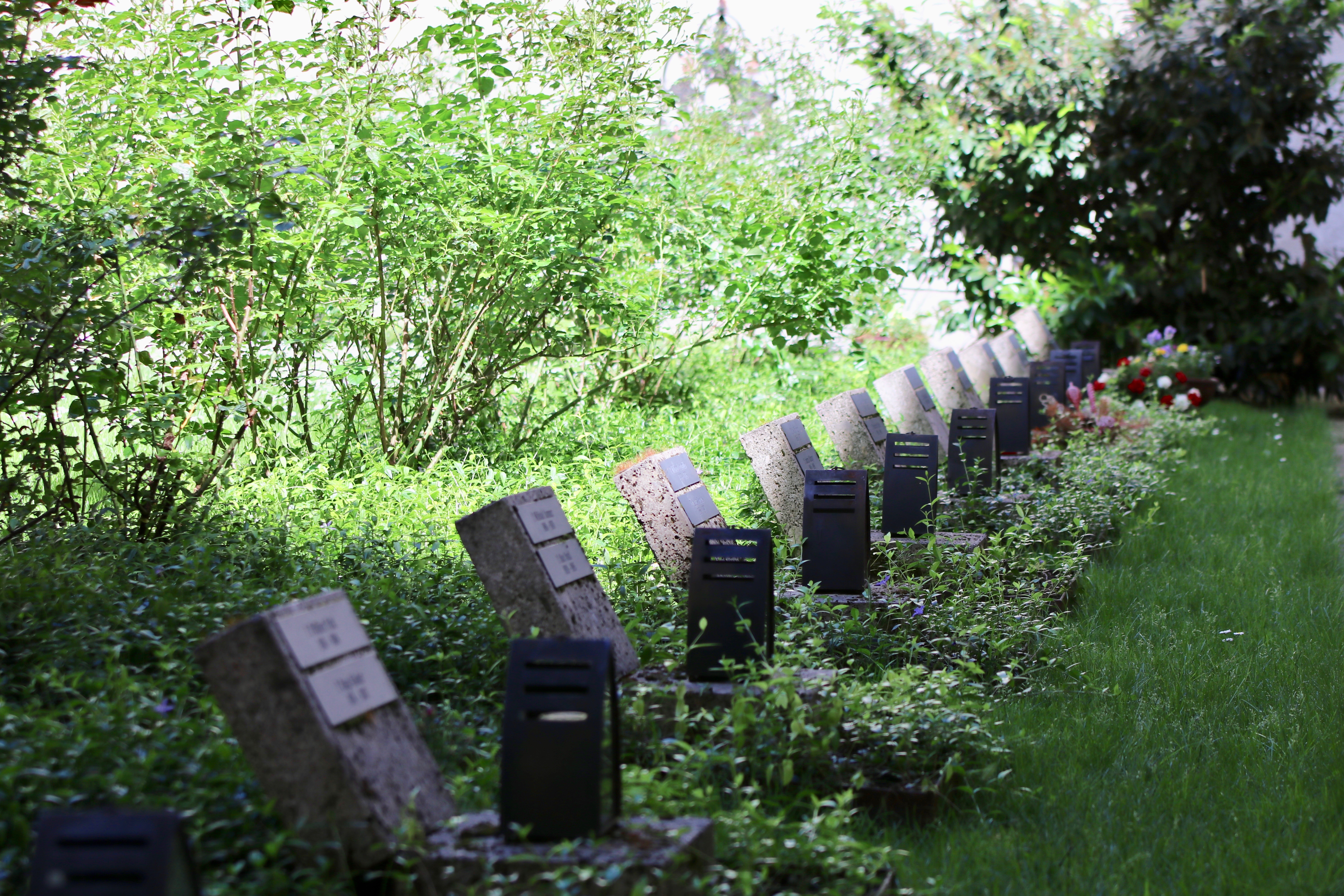 Gräber mit umliegenden grünen Sträuchern