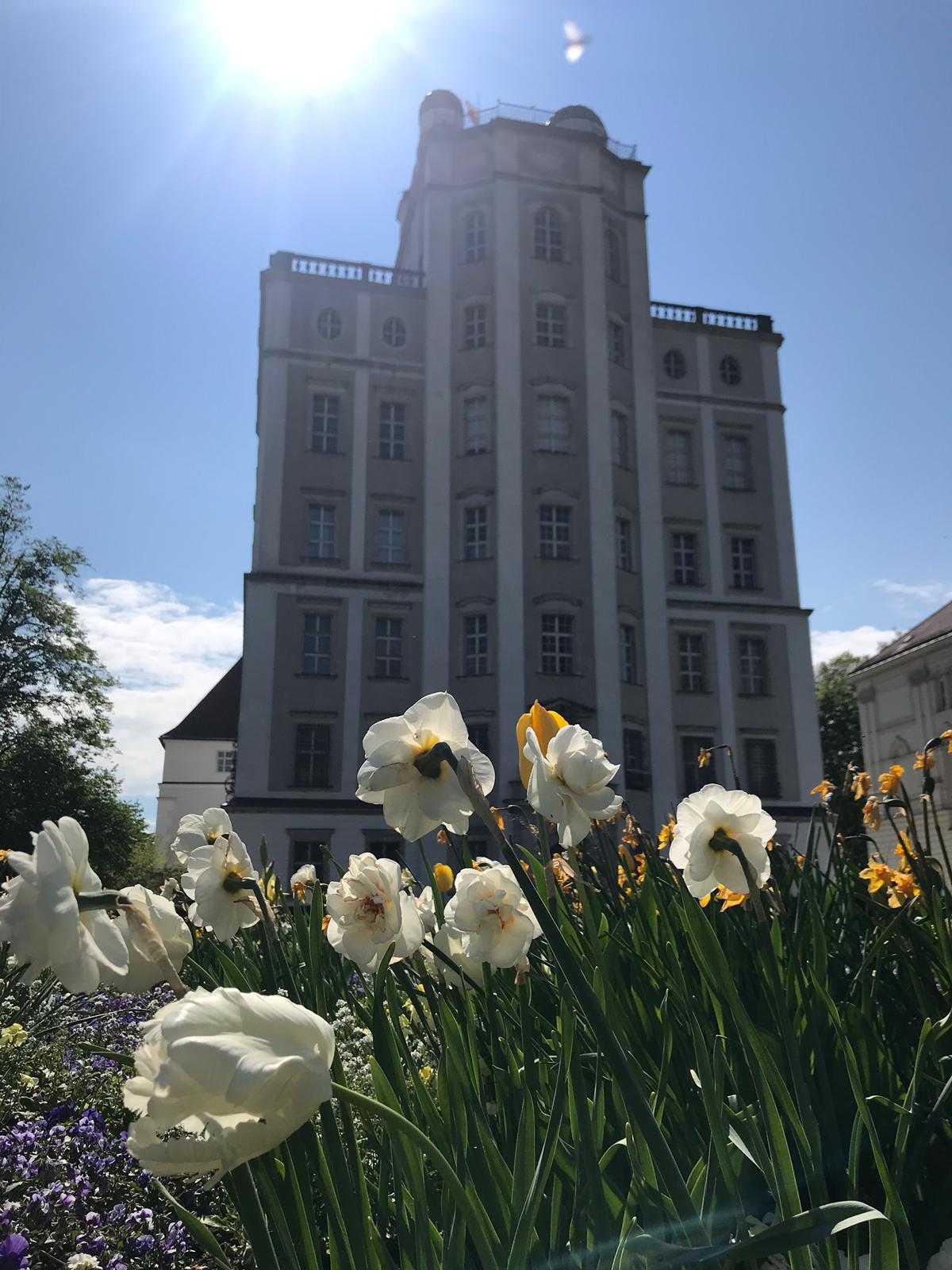 Blick vom Blumenbeet auf die Sternwarte. Direkt darüber strahlt die Sonne.