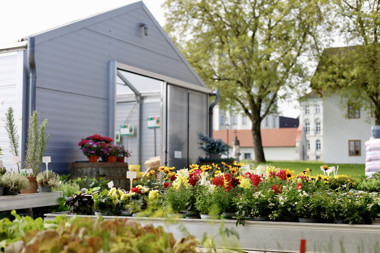 Blick über farbenfrohe Blumen im Hof der Stiftsgärtnerei