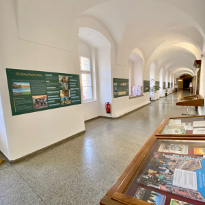 stift_kremsmuenster_brasilien_ausstellung2020_1