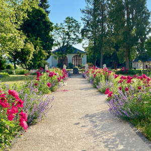 Stift_Kremsmuenster_Blumen_Stiftsgärten11©Stefan_Kerschbaumer