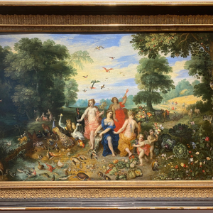 Wunderkammer_die_vier_Elemente1©Stefan_Kerschbaumer