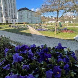 Frühlingsfloristik (14)