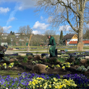 Frühlingsfloristik (2)