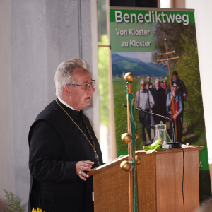Benediktinerweg © holnsteiner 053 klein