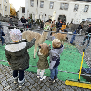 Tag der offenen Kellertür 2023 (c) P_Josef (14)