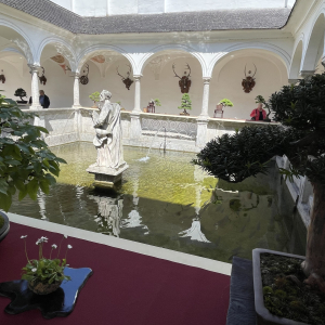 Bonsai_Ausstellung_2025_PJS (102)