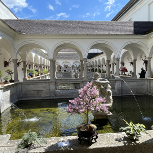 Bonsai_Ausstellung_2025_PJS (110)
