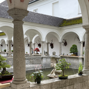 Bonsai_Ausstellung_2025_PJS (55)