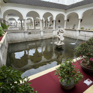 Bonsai_Ausstellung_2025_PJS (64)