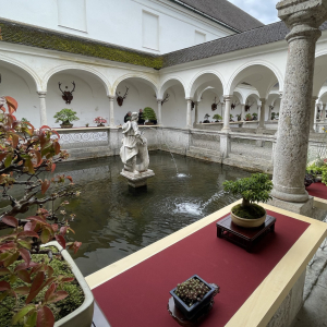 Bonsai_Ausstellung_2025_PJS (65)
