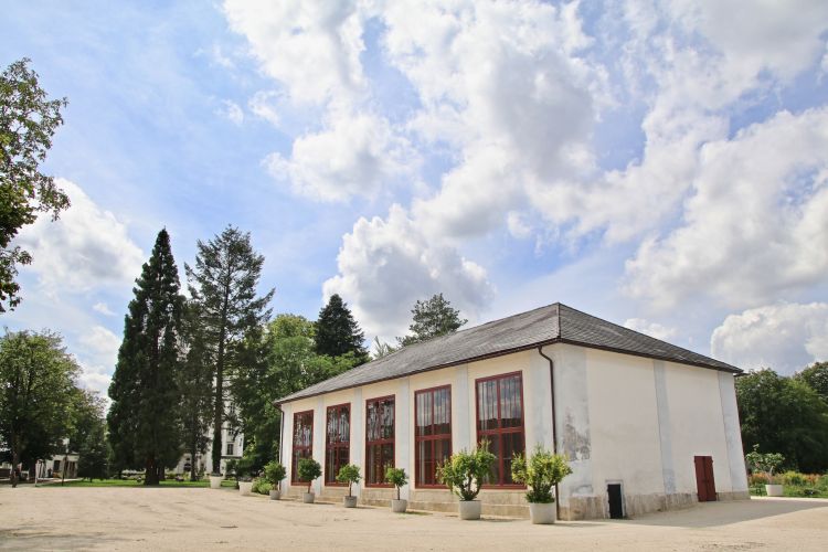 Altes Gewächshaus mit fünf großen Glasflächen und vielen dekorativen Blumenstöcken an der Hausmauer entlang. Große Bäume umringen das historische Gebäude.
