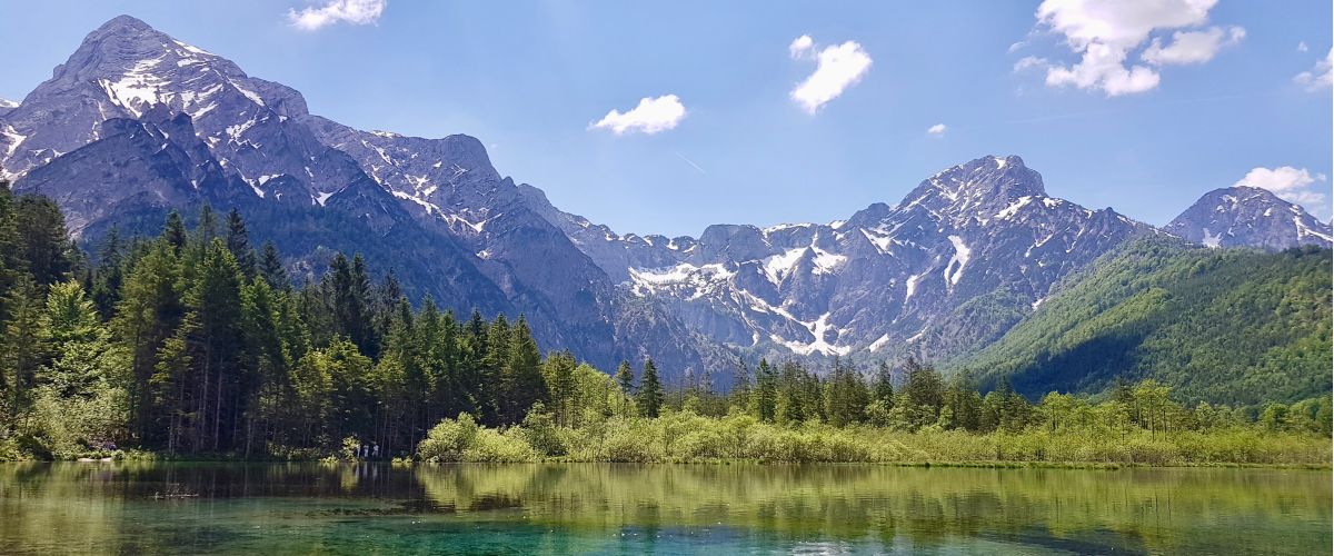 Blick auf den Almsee mit anliegendem Wald in den weiß-bedeckten Gebirgszug