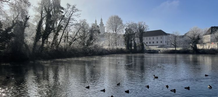 Teich mit Enten im Hintergrund Bäume ohne Laub mit Rauhreif, Gebäude und Kirchtürme, blauer Himmel