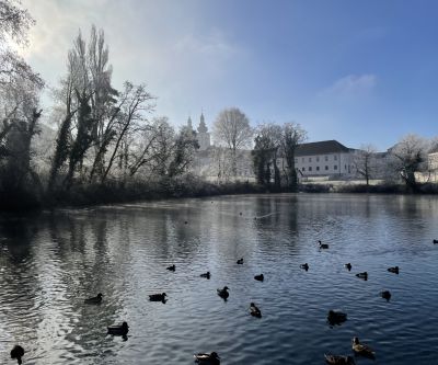 Teich mit Enten im Hintergrund Bäume ohne Laub mit Rauhreif, Gebäude und Kirchtürme, blauer Himmel