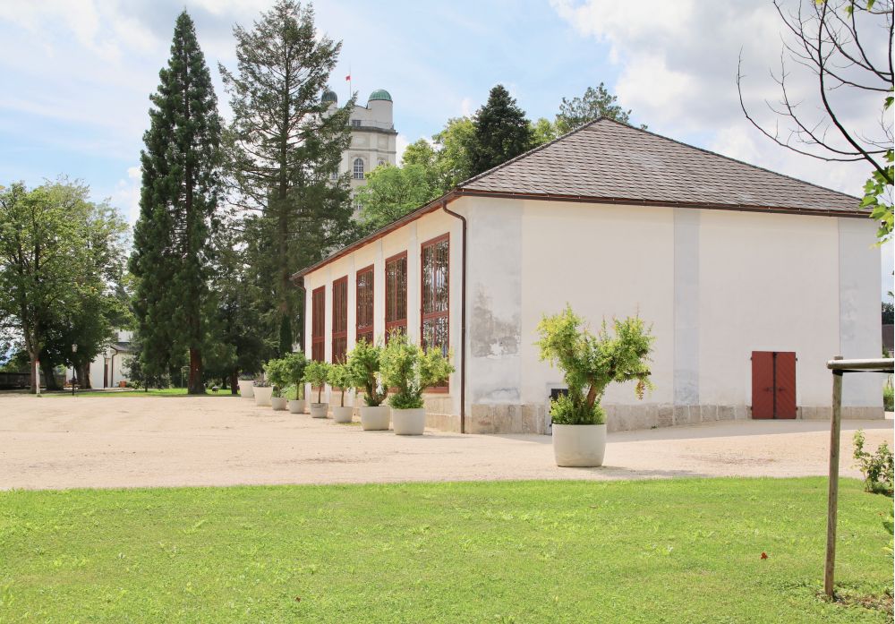 Feigenhaus mit Granatapfelbäumen