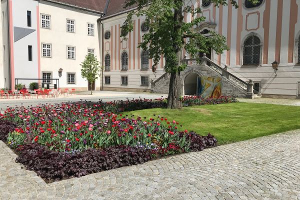 Ein buntes Blumenbeet und zwei Bäume in Einzelstellung im Agapitushof. Im Hintergrund ein Aufgang aus Stein zur akademischen Kapelle.