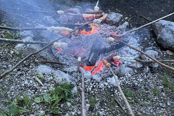 Viele Holzstecken mit Grillwürsten ragen über die weiße Glut eines Lagerfeuers