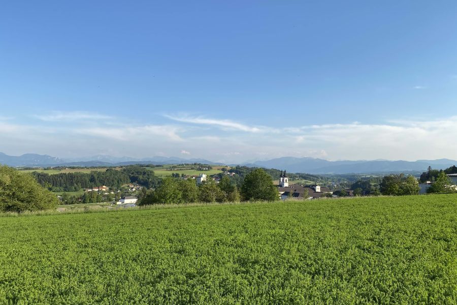Ansicht aus der Ferne Norden Richtung Kremsmünster über ein grünes Feld, zu den Dächern vom Stift Kremsmünster und dem Alpenvorland im Hintergrund