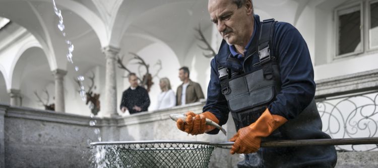Ein Mann mit wasserfester Kleidung steht in einem Wasserbecken mit Kescher und einem Fisch in der Hand
