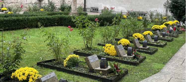 Gräber mit gelben Crysanthemen