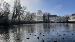 Teich mit Enten im Hintergrund Bäume ohne Laub mit Rauhreif, Gebäude und Kirchtürme, blauer Himmel
