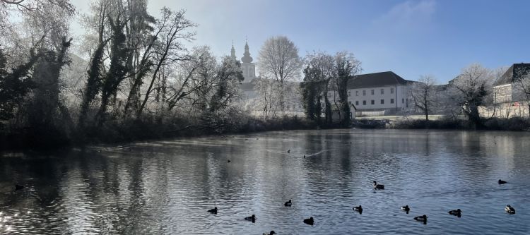 Teich mit Enten im Hintergrund Bäume ohne Laub mit Rauhreif, Gebäude und Kirchtürme, blauer Himmel