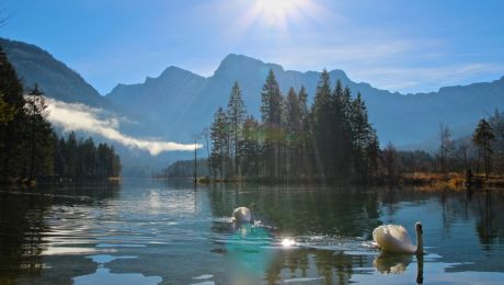 zwei schwäne schwimmen im see mit gebirge im hintergrund