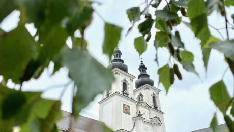 Birkenzweige zu Fronleichnam