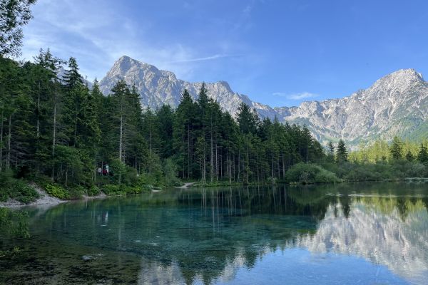 Aufnahme vom Almsee mit Blick auf den hochgewachsenen Nadelwald und das steinerne Gebirge