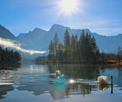 zwei schwäne schwimmen im see mit gebirge im hintergrund