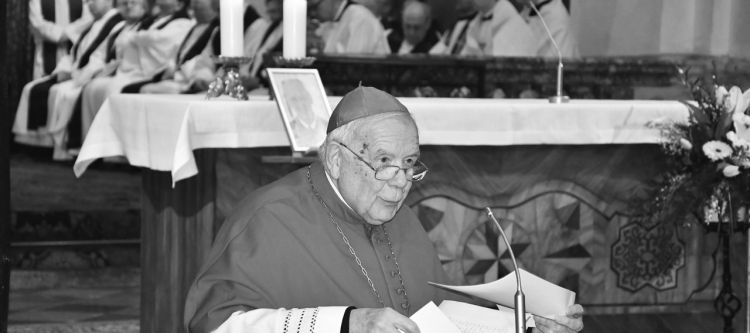 Bischof hält Predigt bei Ambo