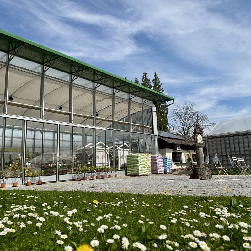 Gewächshaus
