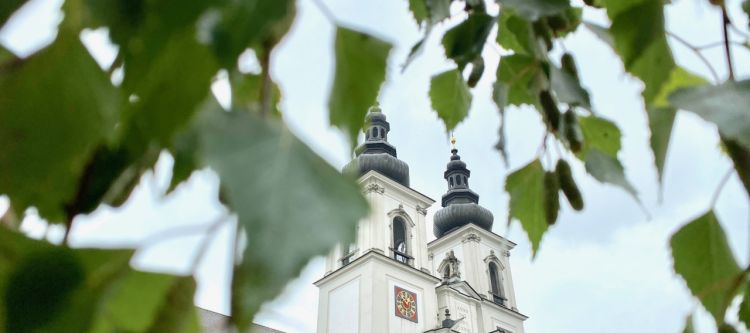 Birkenzweige zu Fronleichnam